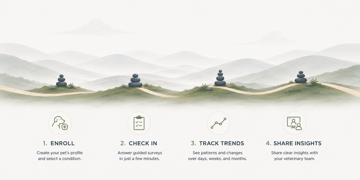 Four stone cairns along a trail — each one a milestone in your pet's health journey